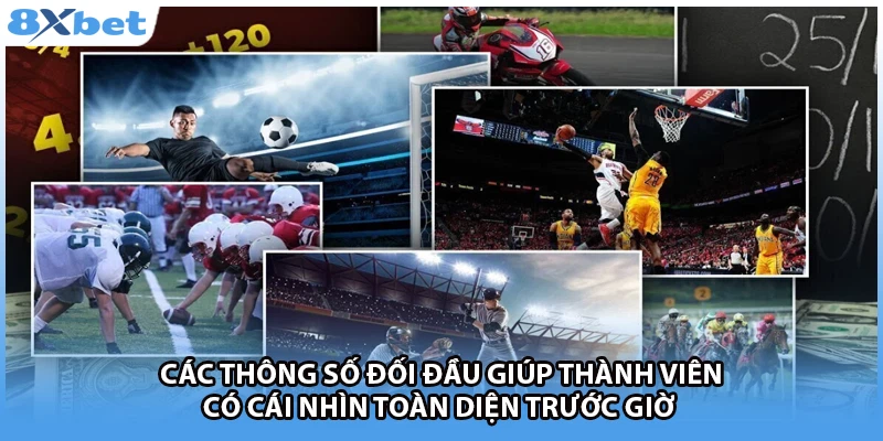 Các thông số đối đầu giúp thành viên có cái nhìn toàn diện trước giờ